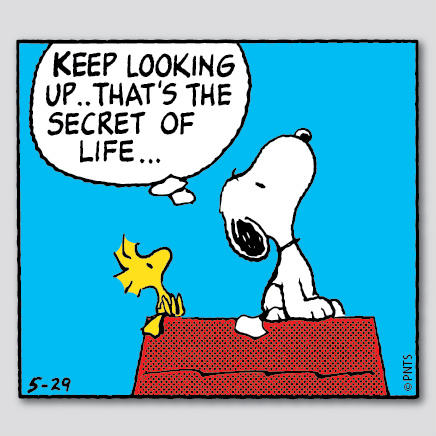 Peanuts Keep Looking Up That S The Secret Of Life Snoopy Http T Co L5g4nvkx Twitter