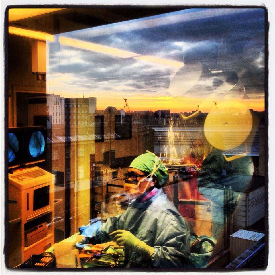 Embedded image permalink