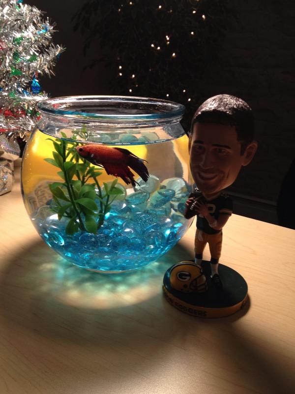 Hashtag the Fish (HashtagtheFish) Twitter