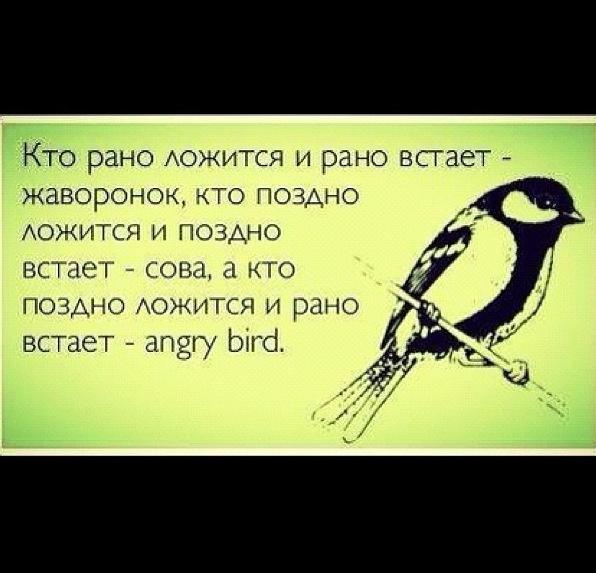 Шутки про сову и жаворонка. Человек который рано встает называется. Рано вставать прикол. Птичка которая поздно ложится и рано встает. Кто рано встает афоризмы.