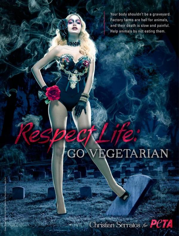 seth_leitman's tweet photo. Hey @jerryjamesstone here is @cserratos new #PETA ad. Up your alley. http://t.co/K3LcpmIA