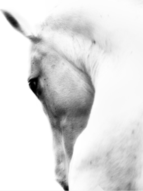 TeamPT's tweet photo. http://t.co/35oEndTe