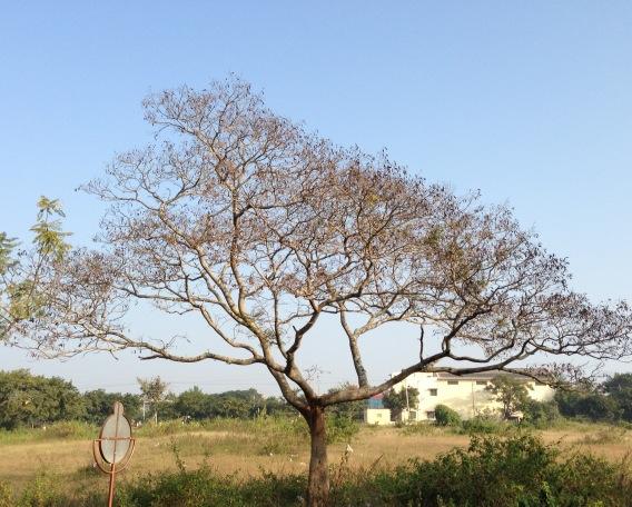 AnupamPKher's tweet photo. "Aaj socha to aanso bhar aaye, muddate ho gayi muskuraye." What song comes to your mind looking at this pic?:) http://t.co/YrZUx8tE
