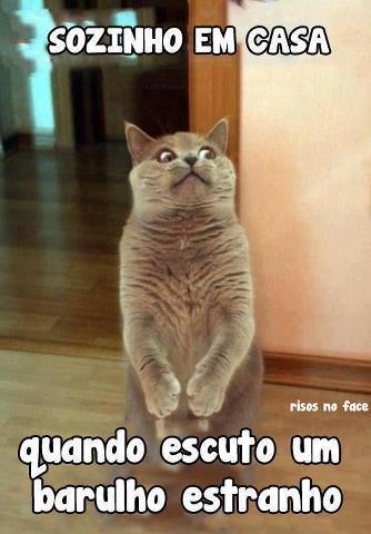 DavidMatosQ's tweet photo. Sou assim mesmo kkkkk! http://t.co/MBZ9vW8D