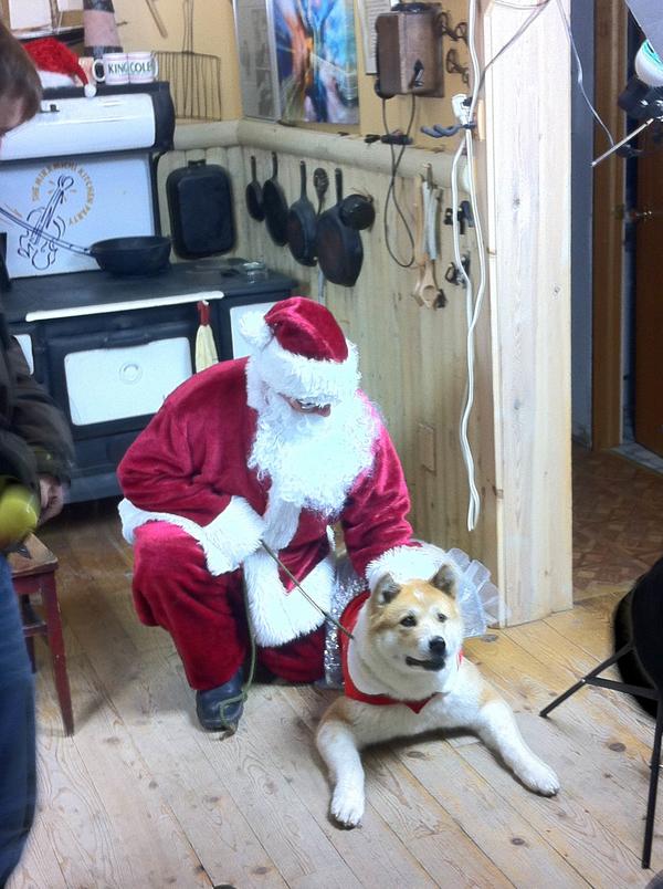 Many great pets... here is a really amazing dog...