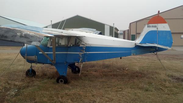 a13337Badge's tweet photo. So icarus wants to go flying apparently, not sure how I feel about this... #operationherpderp #gsculture http://t.co/gitFyYnS