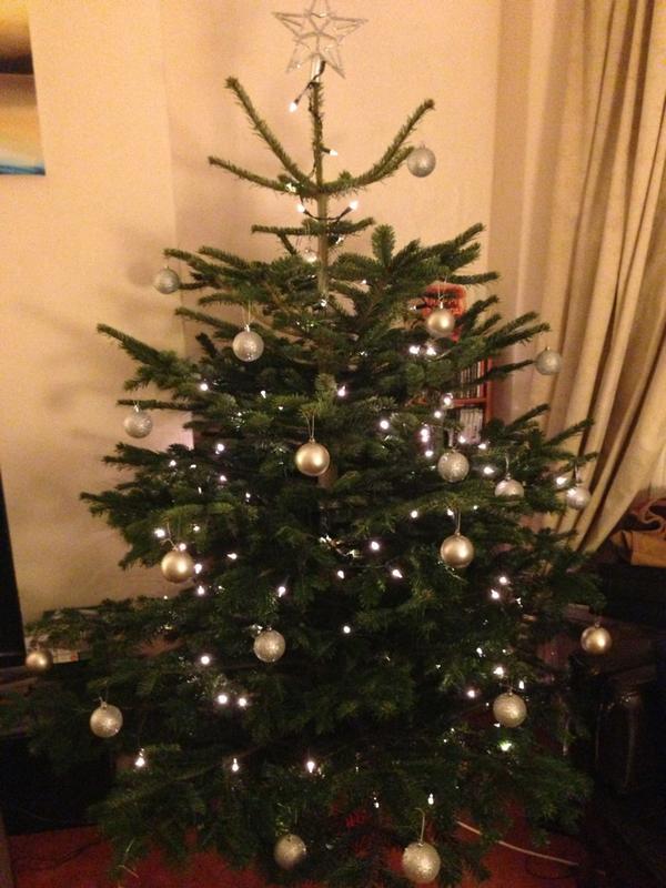 TobySkellern's tweet image. It's a musclemansion christmas