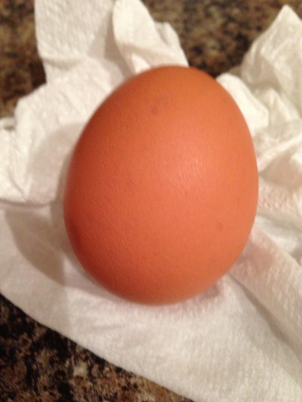 MandyMonaco's tweet image. @jacdigiam @josdigiam good luck today!! 👯 #1egg
