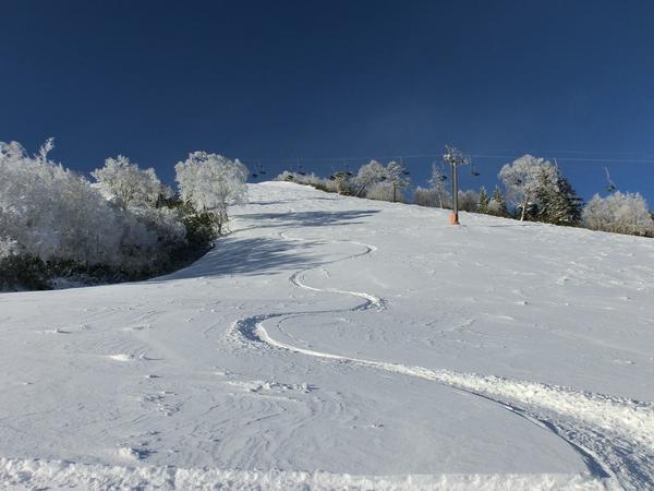 HatTelemark's tweet image. で、ファーストトラック頂いておきました。