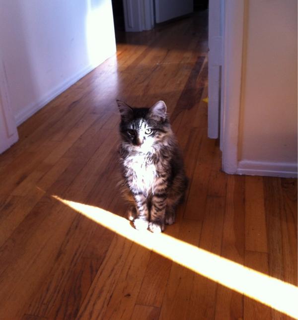 montee_ray's tweet photo. The ray of light simply illuminates my perfection. http://t.co/lBKchxuy