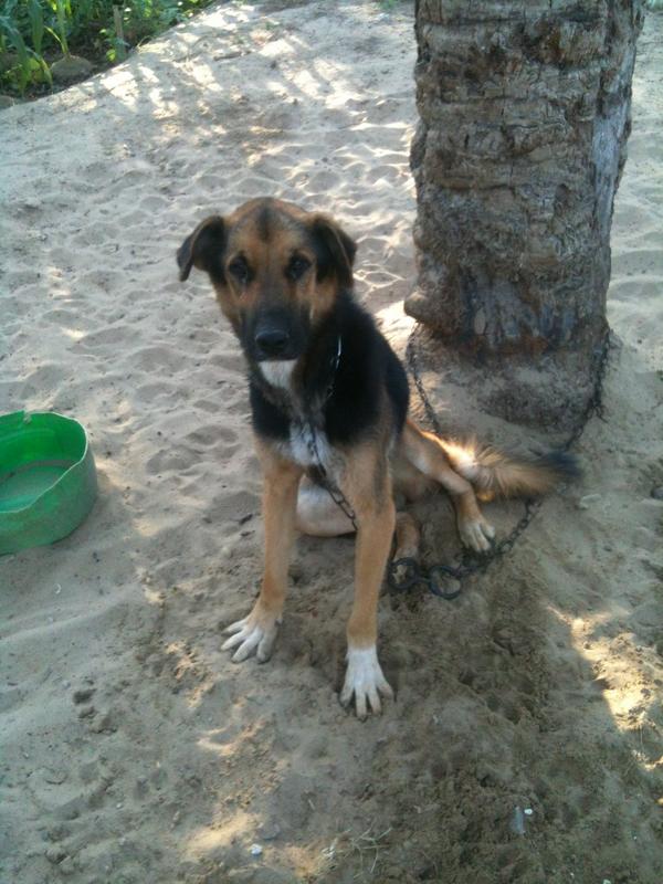 Hyouma_7's tweet image. Finally reunited #dizer