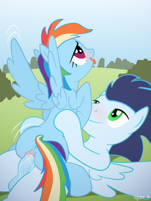 Pony Porn on Twitter: "Rainbow Dash with Soarin http://t.co/JxwpYHKQ"