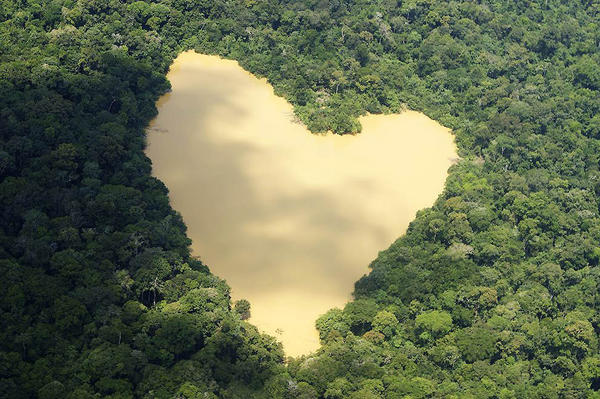 Here the Love in Brazil jungle !