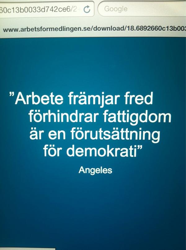 Ibland undrar jag om AF:s chef verkligen förstått sitt uppdrag (och sin plats på jorden) på rätt sätt: 
#svpol