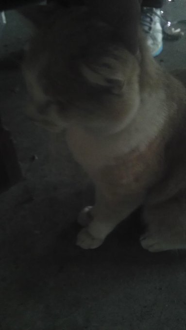 Watch ︻╦╤ー's leaked NSFW photo on TwXstars