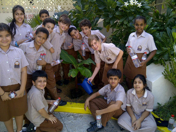 AlMunaUnionTree tweet picture