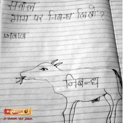 indian cow establish ias