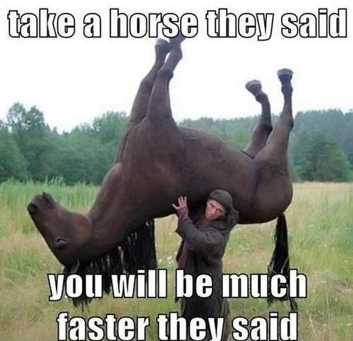 AMcCommunity's tweet photo. I post funny pitctures like this, on my other account @BestPicsDaily http://t.co/QoxvTqky