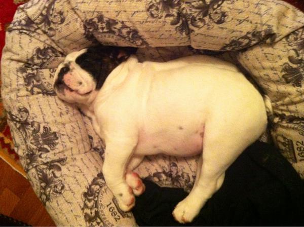 sbilbs's tweet photo. A slimming angle if you will.. http://t.co/7LPM7uLx