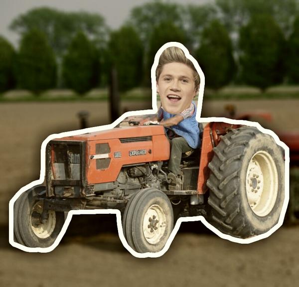 harryswood's tweet photo. Niall dichiara:"La mia carriera musicale segnata dai due anni all'agrario!" #onedirection #nial #1d http://t.co/qHUZIBtN