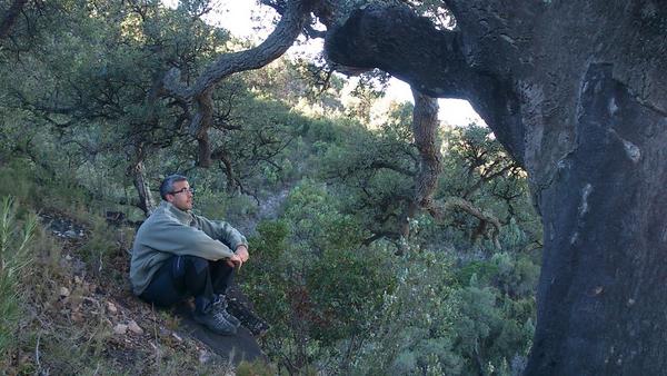 Me siguen fascinando alguno de nuestros rincones.