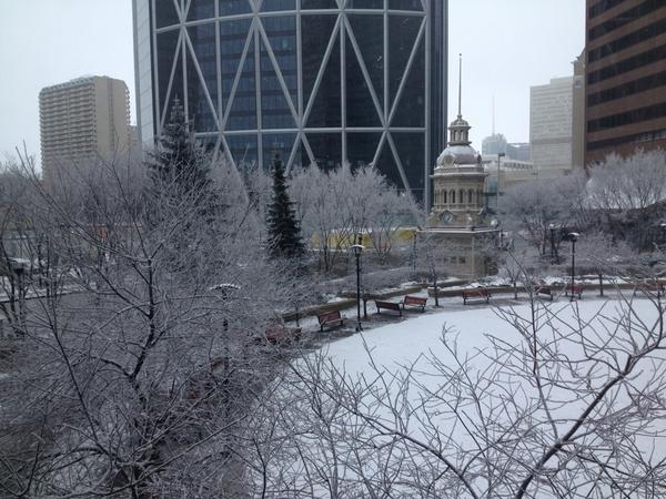 3990achan's tweet image. Snowy weekend #yyc