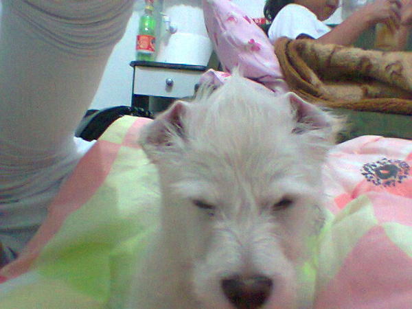 TalizeGG's tweet photo. Meu nenem!!! http://t.co/m6J2h7oS