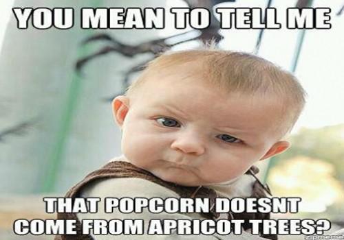 MormonNormon's tweet image. Wait what?