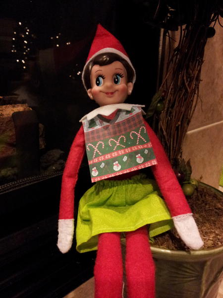 PinkSparkleBlue's tweet image. I love my new ugly Christmas sweater bro bib! #brobib #uglychristmassweater #elfontheshelf