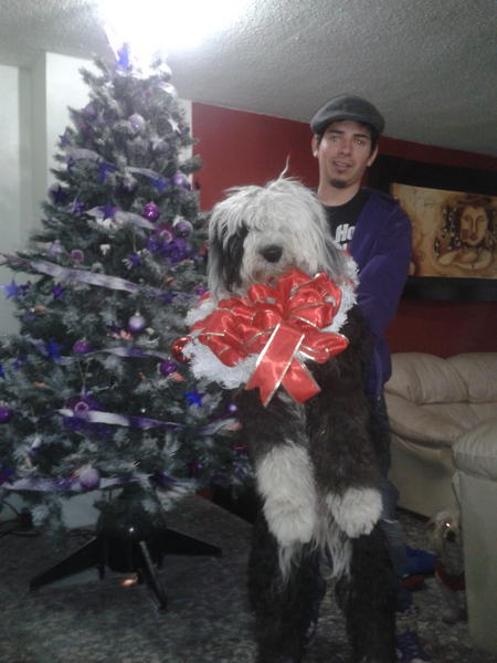 riushma's tweet image. mashita osita cosita hermosa y @wakito ... listos para navidad!!! :3 ...y tombe #bionicmode xD