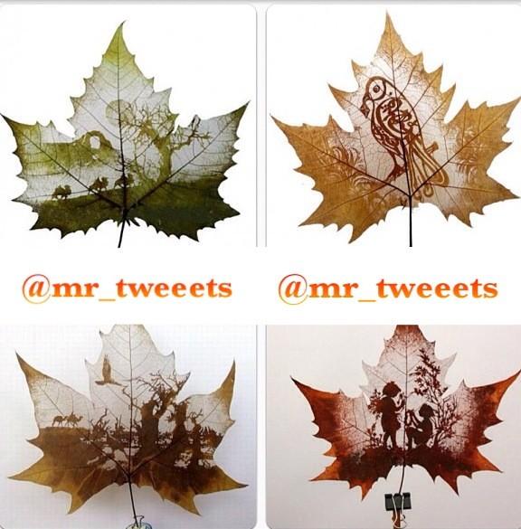 mr_tweeetss's tweet photo. ✿❀ فِــنُـوْن 🎨 الــَرّسِْم ✿❀

فَـن الرَسْم علّي وَرْق الاشّـجَـار
ʏɑʜʏɑ✍ http://t.co/boIGcYY2