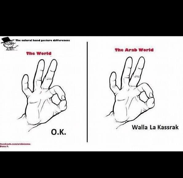 Arabsproblems1's tweet image. #Arabproblems