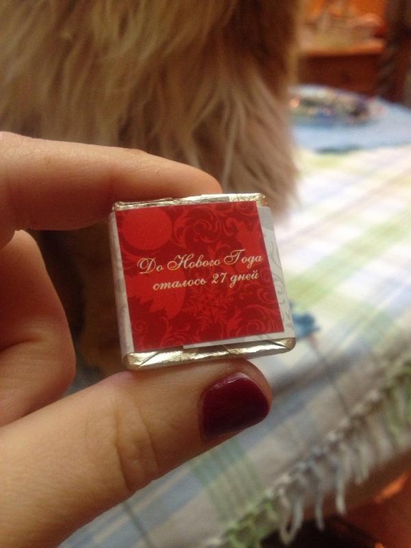 Anastasia Petrova tweet media