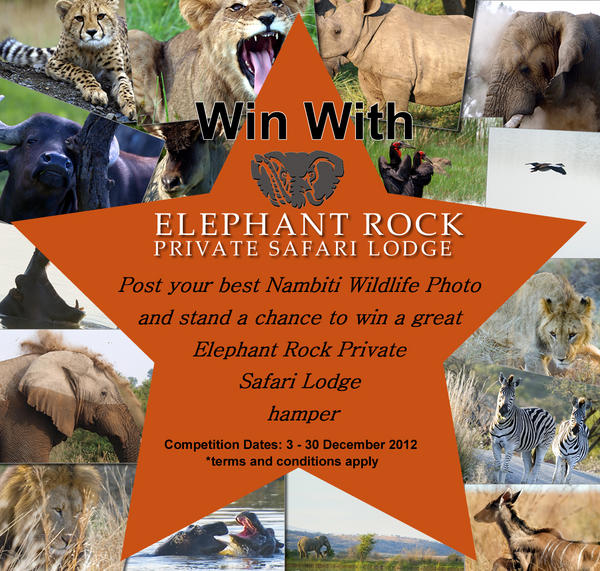 Elephant Rock Lodge tweet media