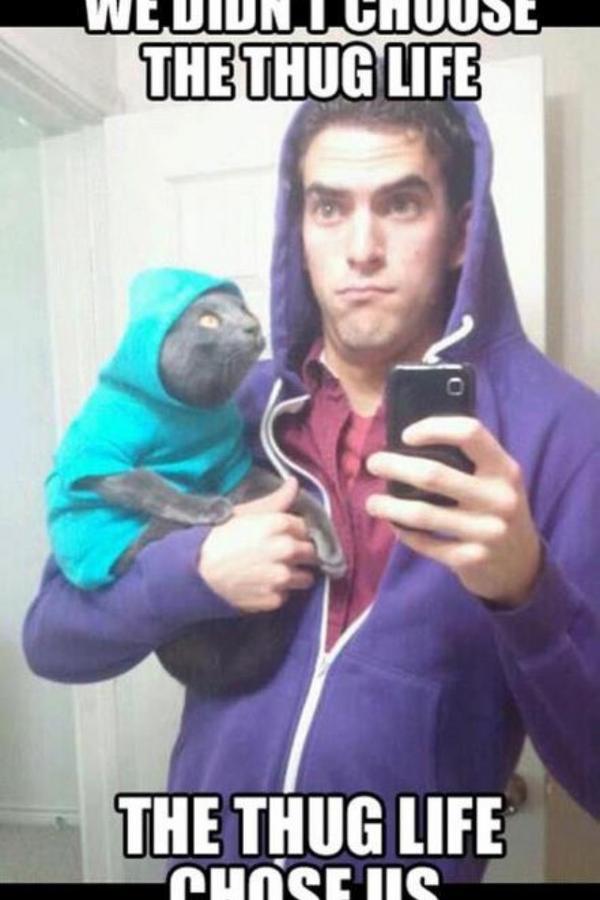 CurtisArmour's tweet photo. @MaddyGalts thought you'd like this ;) http://t.co/SfOyOqbw