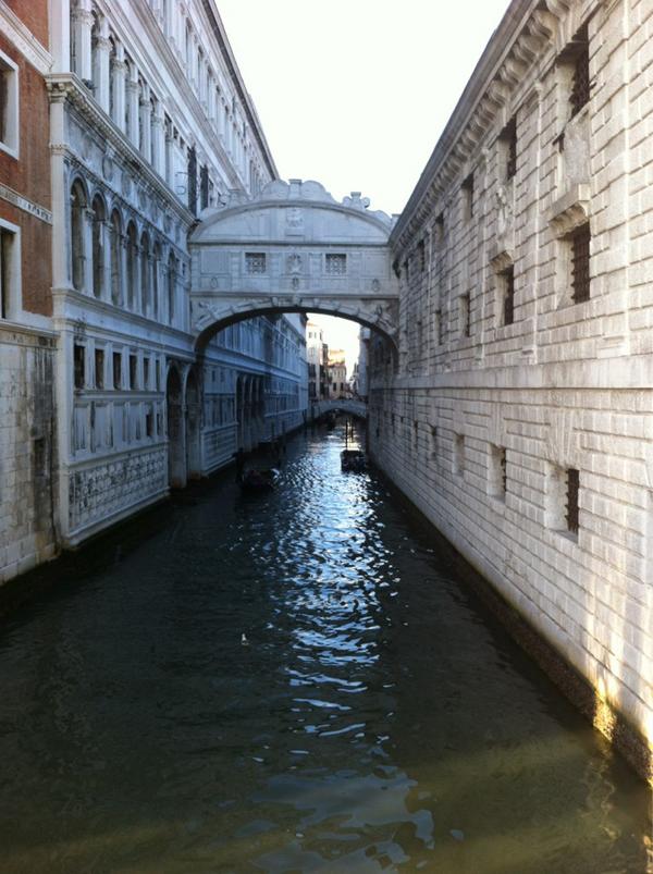 webhexen's tweet image. #venizia