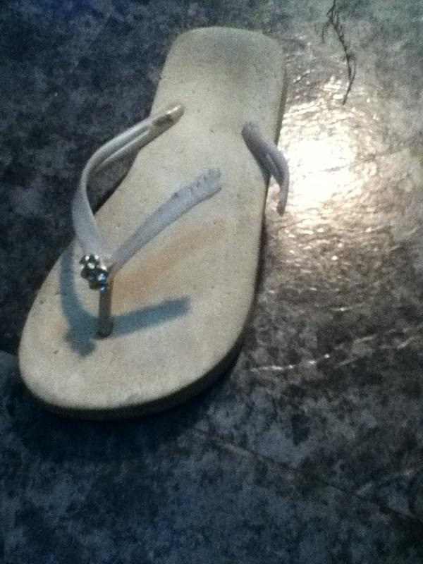 Smalls0_0's tweet image. Did you really chew up my sandal?! #YouNeedToGo! #Yogi #PainInMyAss