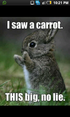 Imogendickinson's tweet photo. Awww http://t.co/FN0ExYS5
