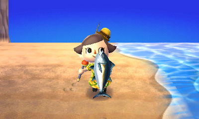 Ayame922's tweet photo. 鮪　とったどー！！ #tw3ds http://t.co/DMsi9e4H