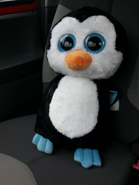 _Legends's tweet image. À craqué il est trop chouuuuuu !!!