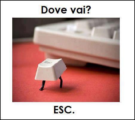 LaSabr1na's tweet image. Ahahahahahah! #chefai? #esc