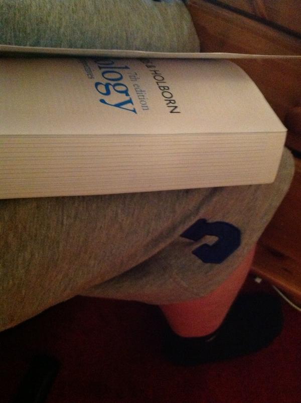 sambridge76's tweet image. Just killed a fly with a haralambos #denchbook #useforsociology #byebyefly
