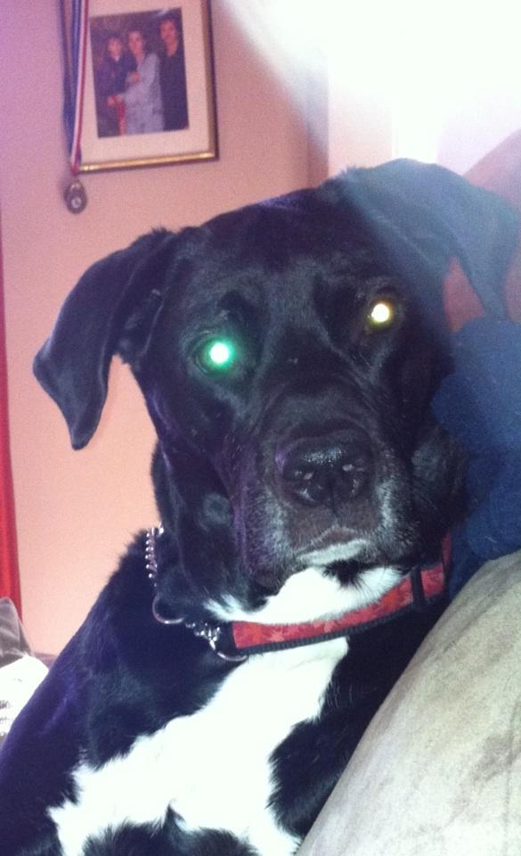 71Issy's tweet image. Look at her eye wow!