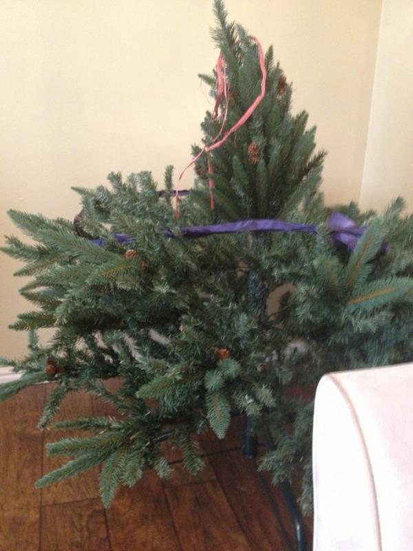 kjoe_101's tweet image. Mom was too lazy to put the other two sections on. 😂 #midgettree