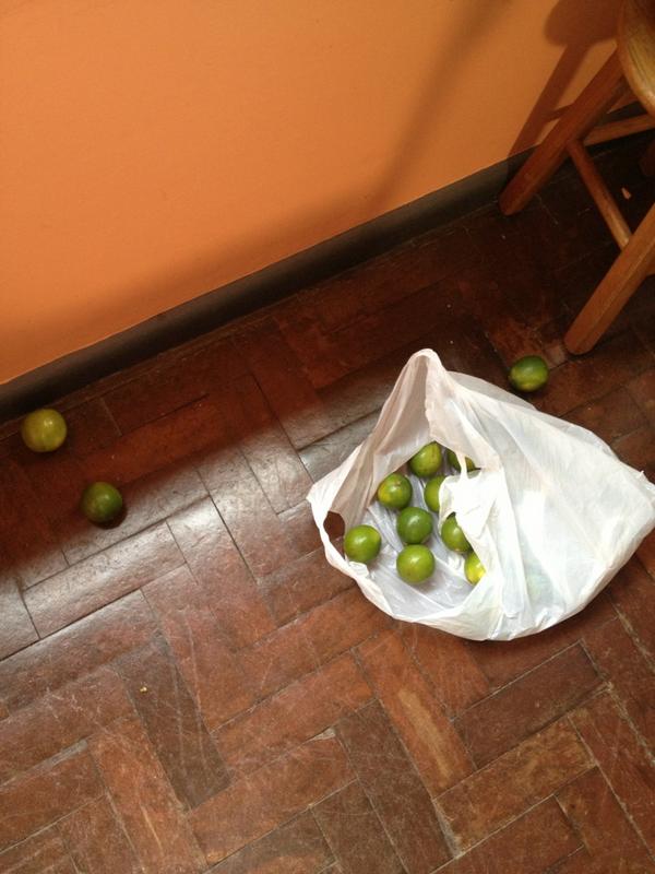 Kefera's tweet image. LIMÕES ROLANDO PELA PRODUTRA, do que será que é o próximo video?