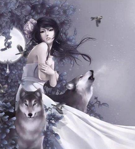 I miss the wolves. <a href="/roamingdirewolf/">Nymeria Stark</a> <a href="/nighttrailer/">Lone Wolf</a> <a href="/Lyla_Wolf/">Lyla</a> @DireWolfCub