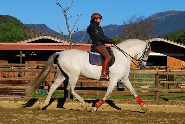 Miriam Marin tweet media