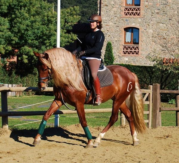 Miriam Marin tweet media