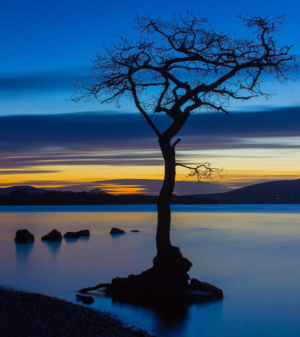 Caroline Thomas tweet media