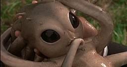 @YgritteGreyjoy @beautybrienne We Greyjoys are so adorable as babies, too...look!